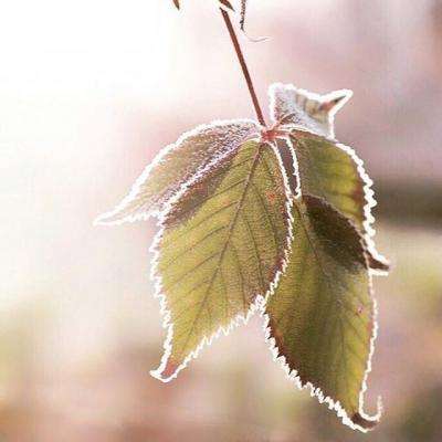 竞彩足球app官方下载安装手机版